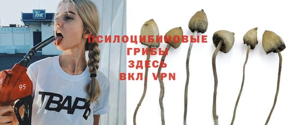 кокс Липки