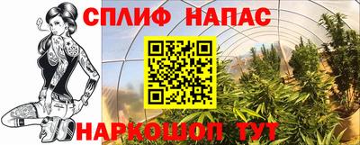 крисы Комсомольск-на-Амуре