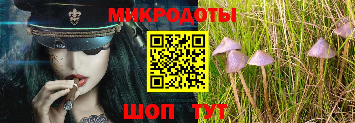 Шатура  Галлюциногенные грибы ЛСД  Вход с VPN  цена наркотик  Галлюциногенные грибы мухоморы 