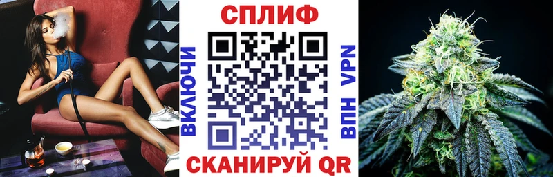 купить  сайты  Шатура  МАРИХУАНА Amnesia 